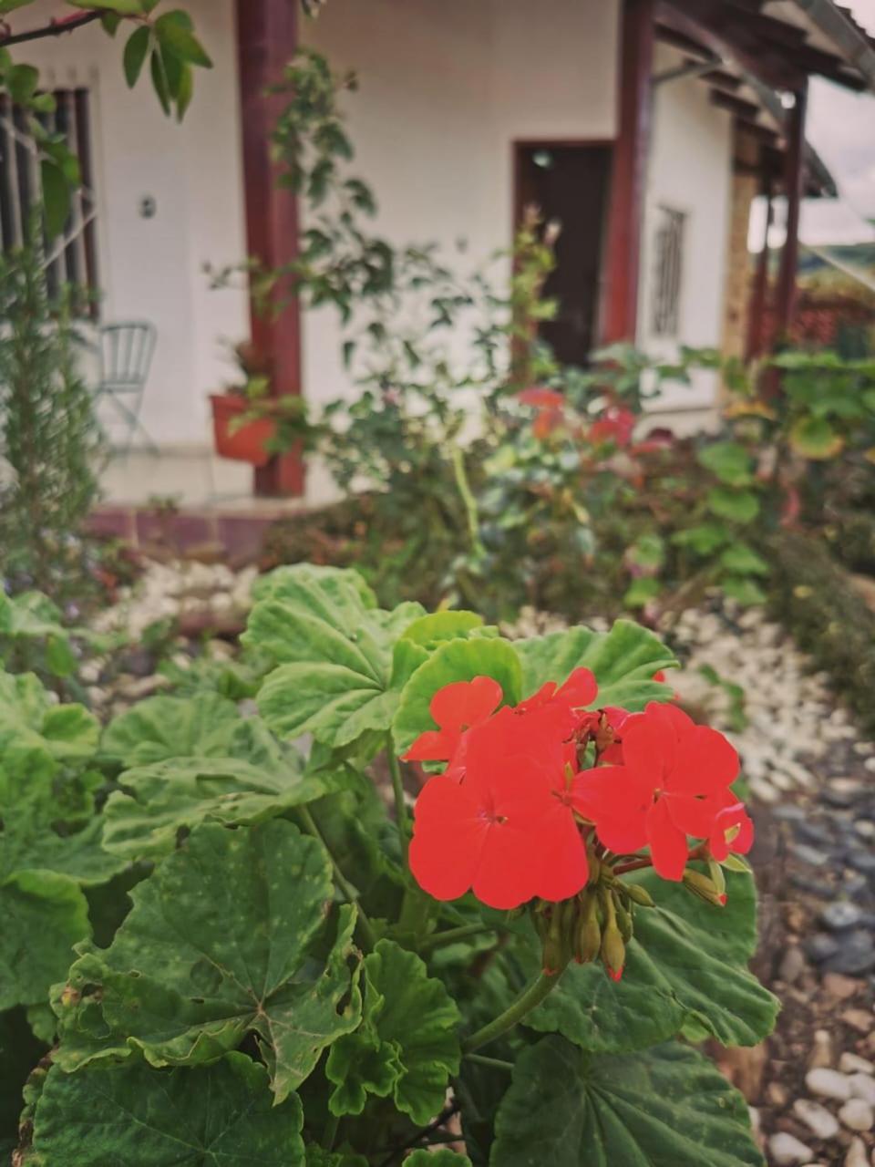 La Cabana - Samaipata Exteriér fotografie